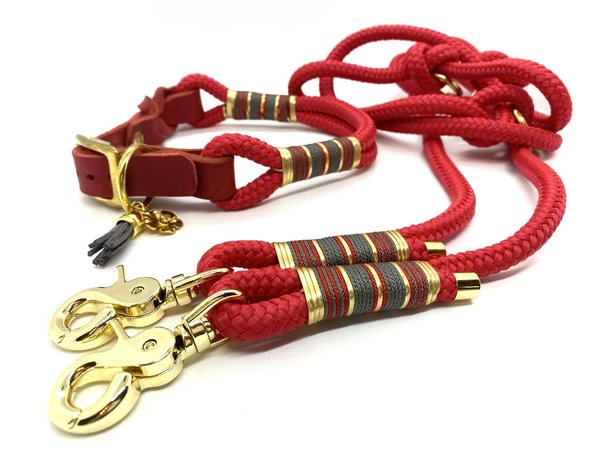 Verstellbares Hundehalsband mit Lederverschluss im Set oder Einzeln "Golden Red"