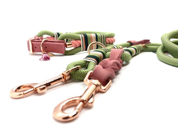 Verstellbares Hundehalsband mit Lederverschluss und Leine im Set oder Einzeln „Jungle Party“