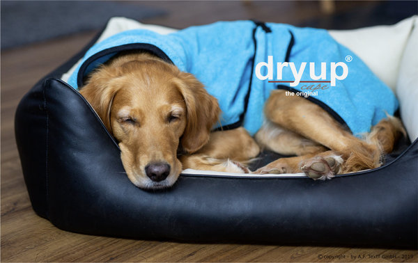 DryUp Cape - Hundebademantel aus Frottee - Cyan