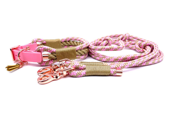 Verstellbares Hundehalsband mit Biothaneverschluss und Leine im Set oder Einzeln „Golden Tompouce“