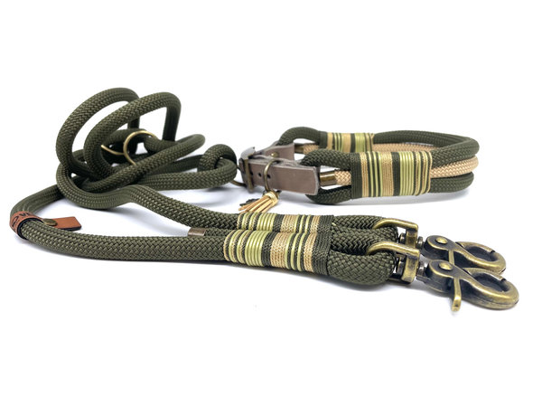 Verstellbares Hundehalsband mit Lederverschluss und Leine im Set oder Einzeln „Fern Gold“