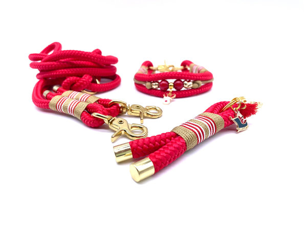 Hundehalsband und Leine im Set oder Einzeln „Rudolph Christmas“
