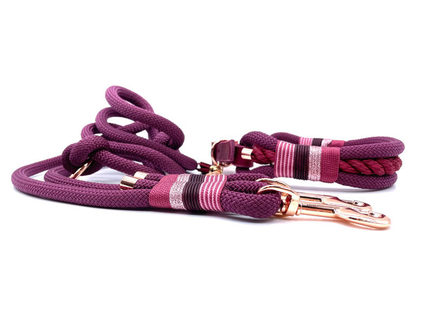 Verstellbares Hundehalsband mit Lederverschluss und Leine im Set oder Einzeln „“